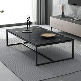 Masă de cafea 100x50x42 cm negru FUR1816-2