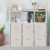 BeComfort raft cu 6 cutii de depozitare 90x90x30 cm TN05